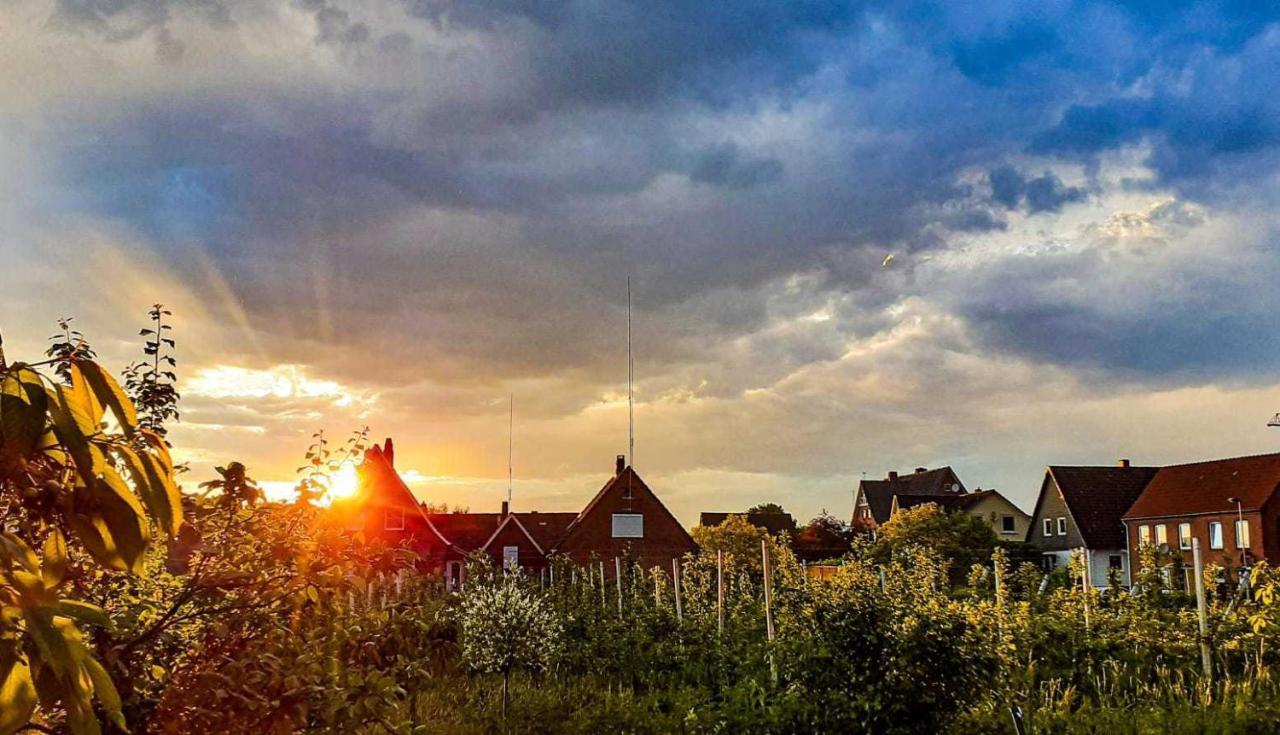 Ferienwohnung Bluetenblick Bachenbrock Zewnętrze zdjęcie